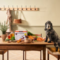 Senior Turkey & Lamb Wet Dog Food Variety Pack