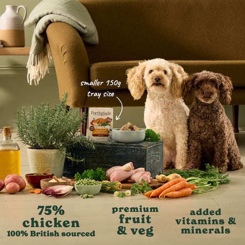Small Portion Farmhouse Chicken Dinner