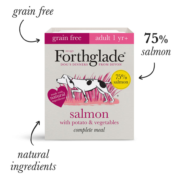 Salmon Wet Food, Treats & Supplements Variety Bundle