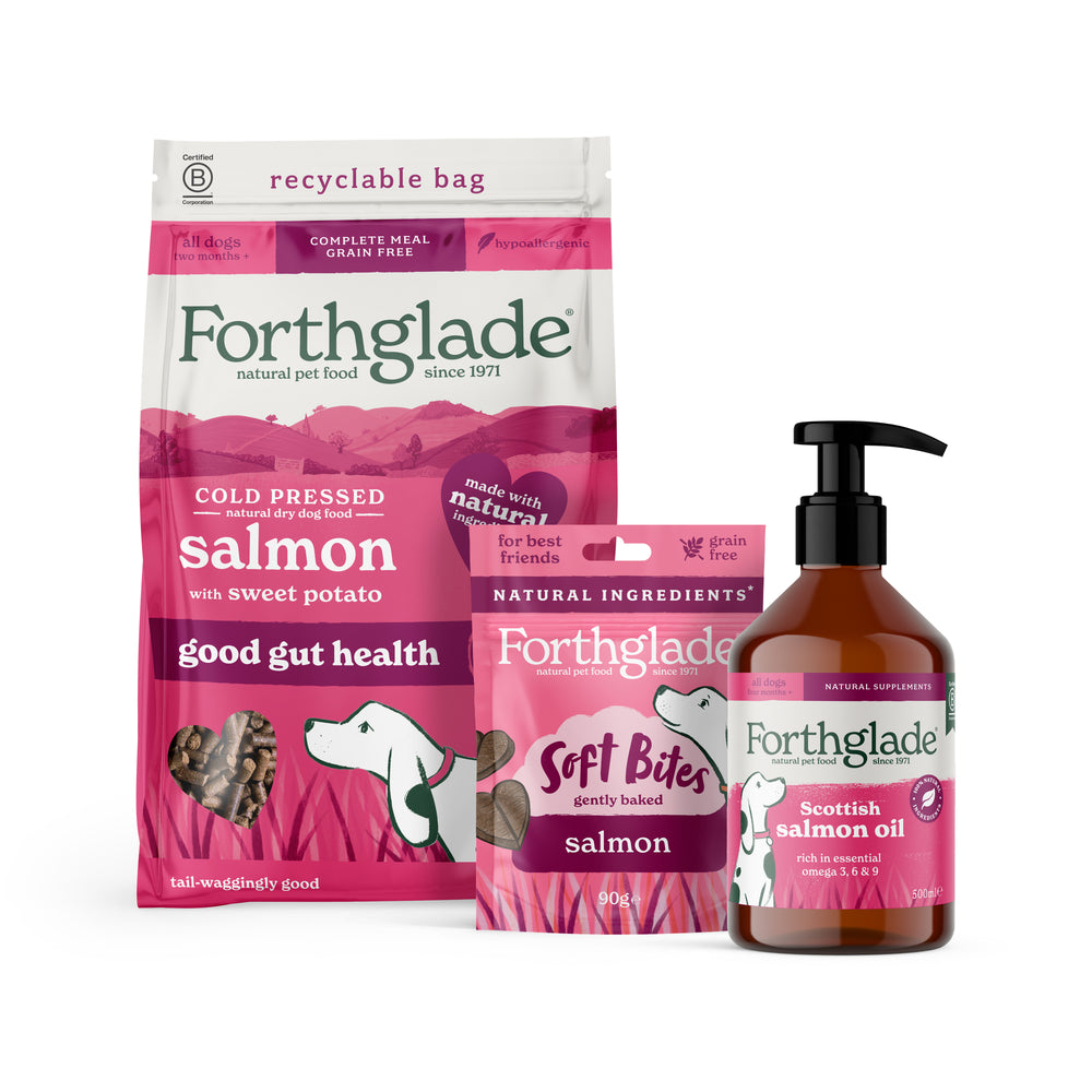 Salmon Dry Dog Food, Treats & Supplements Bundle