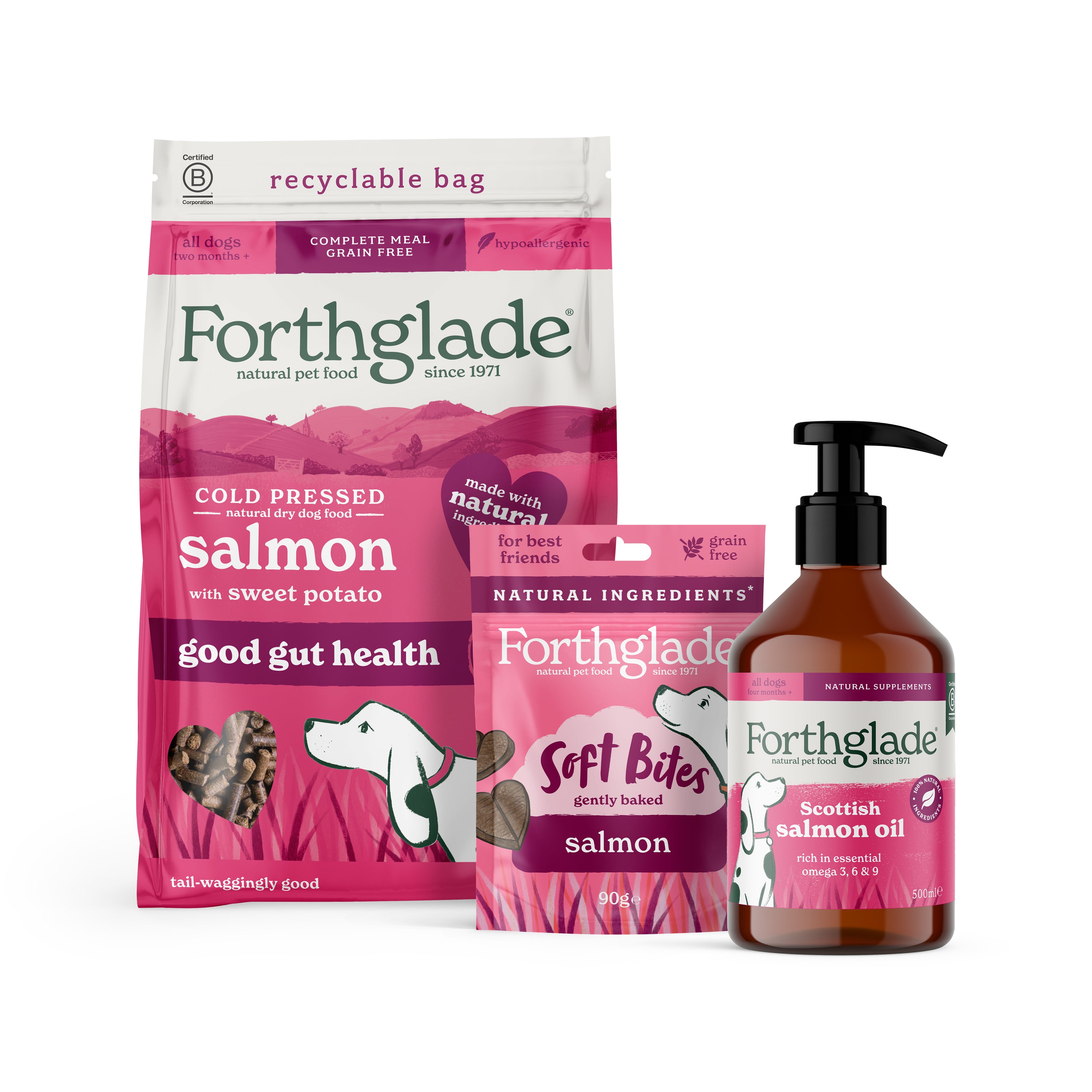Salmon Dry Dog Food, Treats & Supplements Bundle