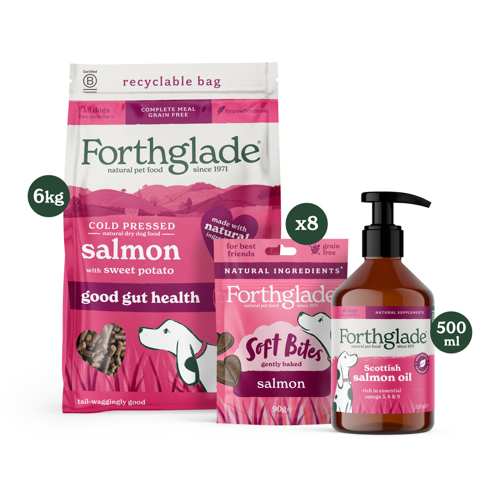 Salmon Dry Dog Food, Treats & Supplements Bundle