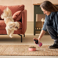 Wellbeing Essentials Dog Treats & Supplements Bundle