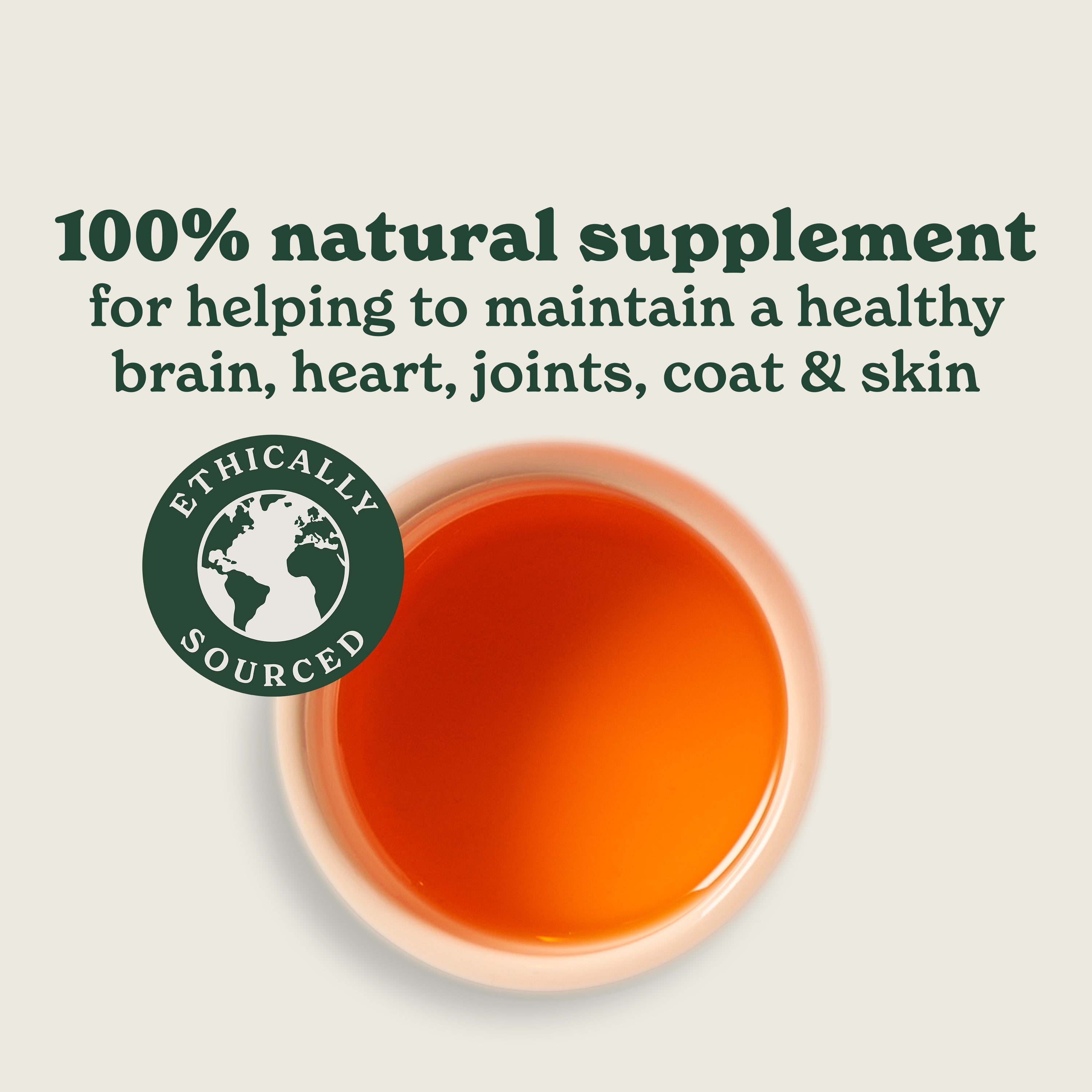 Wellbeing Essentials Dog Treats & Supplements Bundle