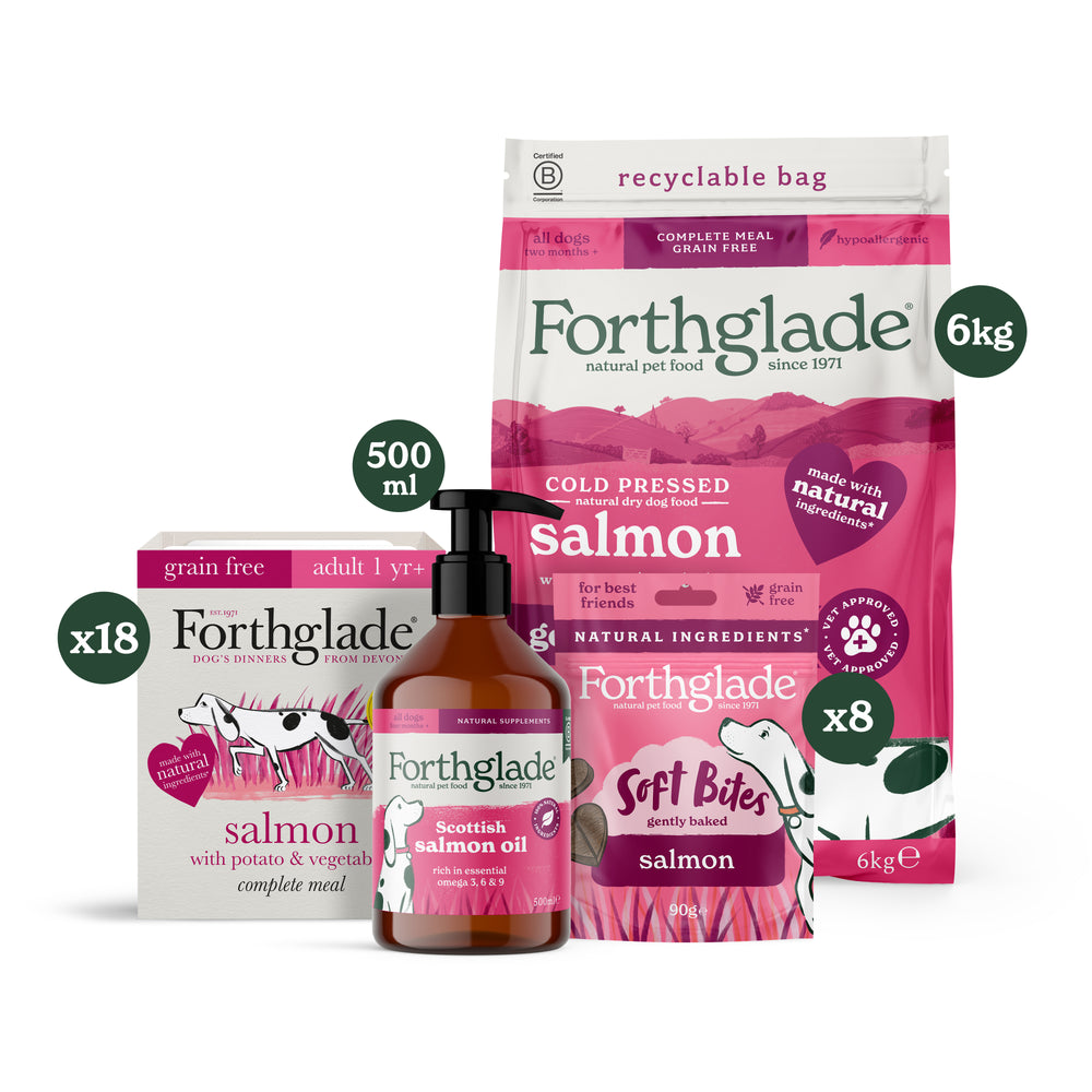 Everything Salmon Dog Food & Treat Variety Bundle