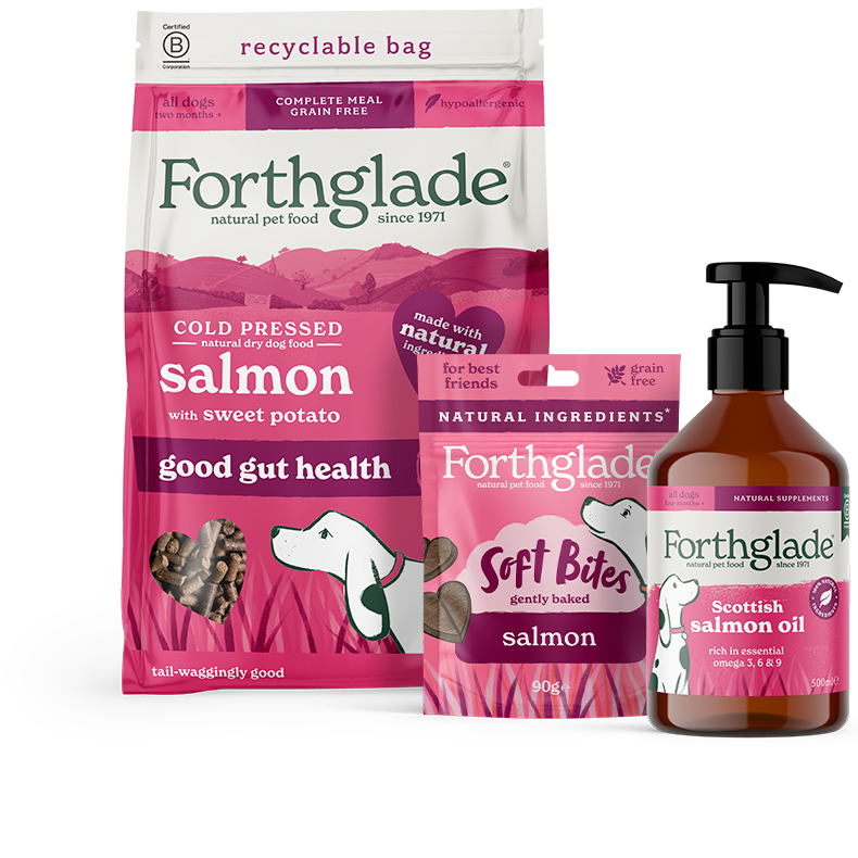 Salmon Dry Dog Food Treats Supplements Bundle 790px