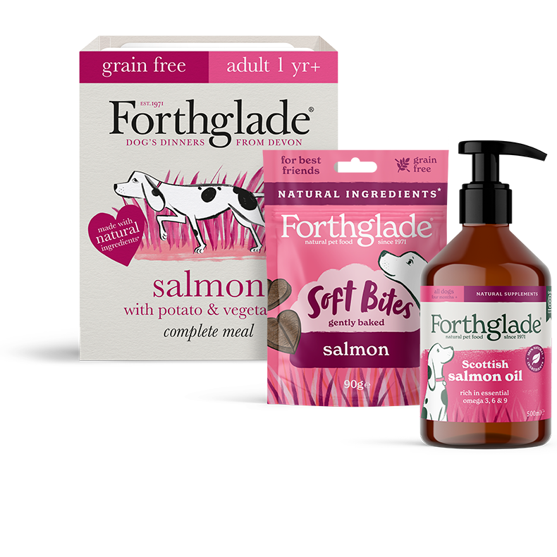 Salmon Wet Dog Food Treats Supplements Bundle 790px