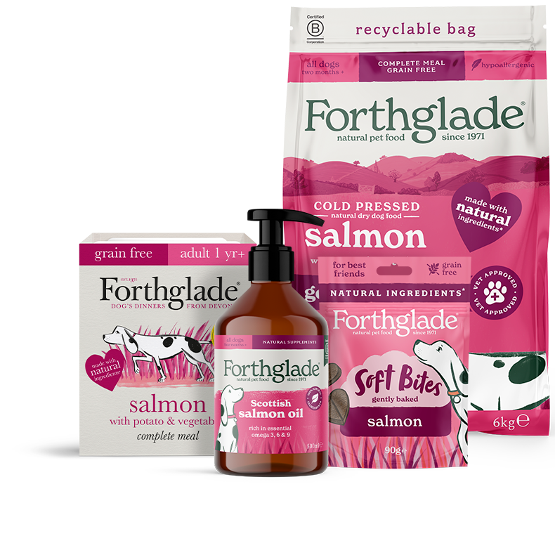 Salmon Wet Dry Dog Food Treats Supplements Bundle 790px
