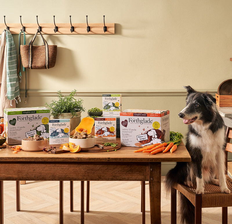 Senior dog food header mobile