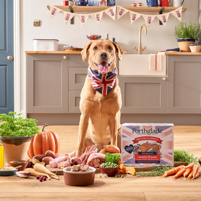 British Classics Chicken, Lamb & Turkey Dog Food Variety Pack