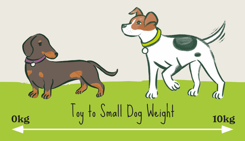 Small dog kg illustration No header