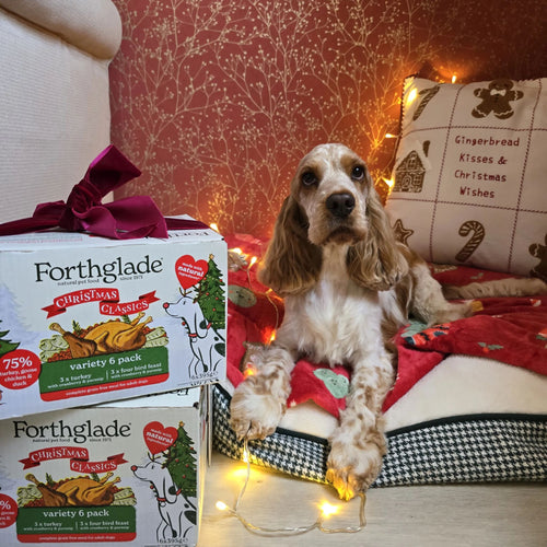 Christmas Classics Wet Dog Food Variety Pack
