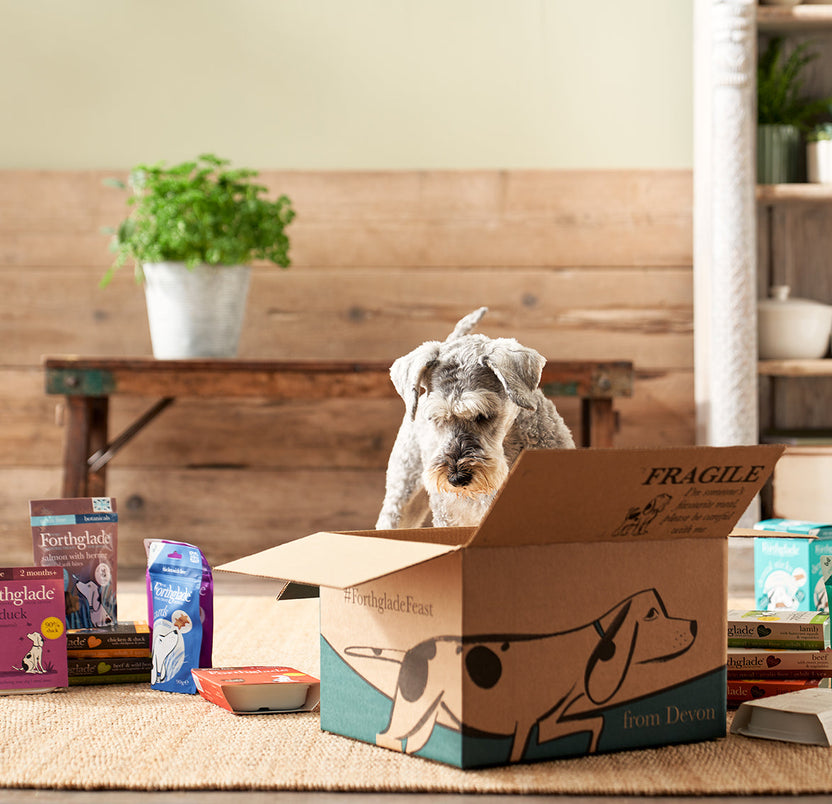 Forthglade Discount Codes Offers Forthglade forthglade-discount-codes-offers-forthglade
