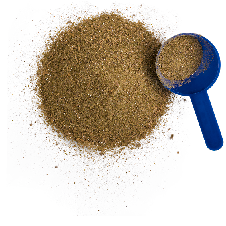 Supplement Dental Powder Pile