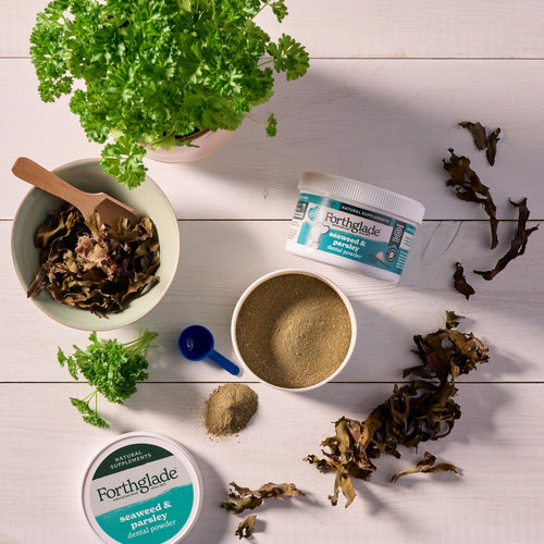 Dental Powder for Dogs