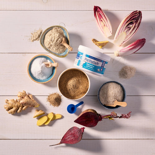 Pre & Pro Biotic Digestive Powder for Dogs