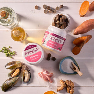 Joint Care Meaty Pieces - Dog Joint Supplement
