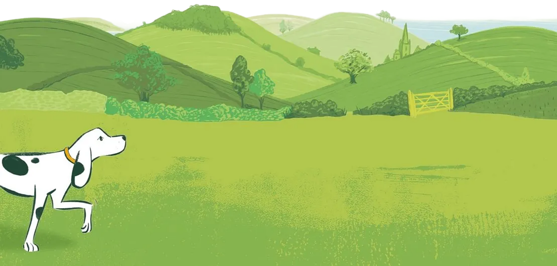 Teams Hills FG Logo BCorp   Medium 1