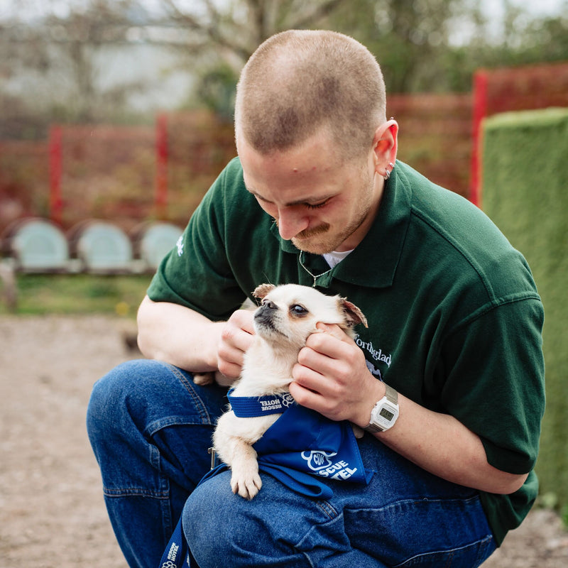 The Rescue Hotel Imagery   Shopify Product