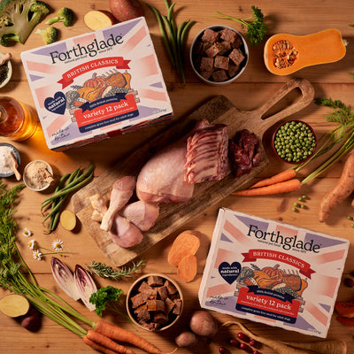 British Classics Wet Dog Food & Meaty Treats Bundle