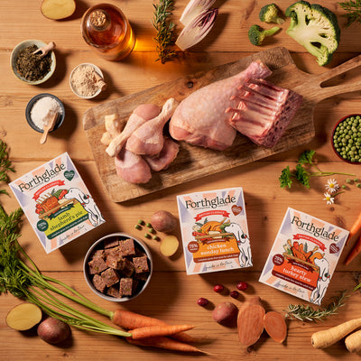 British Classics - Chicken Sunday Lunch, Lamb Hotpot & Turkey Stew - Variety Pack