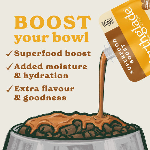Hearty Chicken Bone Broth Topper