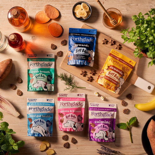 Adult Small Dog Saver Bundle Grain Free Dog Food Forthglade