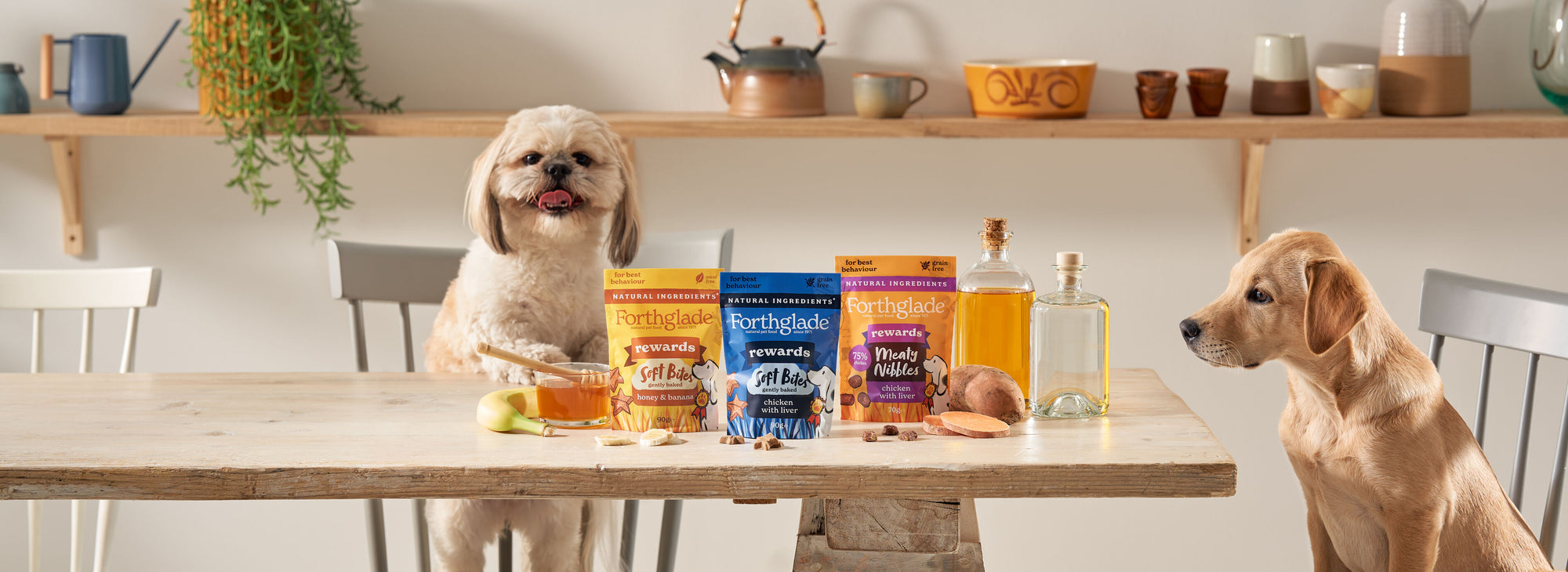 Treats Rewards Range Close 1   3782 x 1380