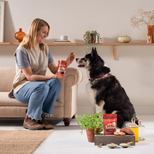 Soft Bites Turkey Dog Treats (1 x 90g)