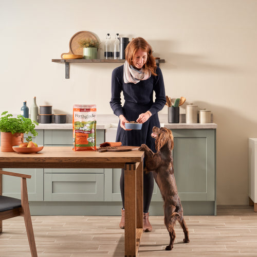 Lightly Baked Turkey Dry Dog Food