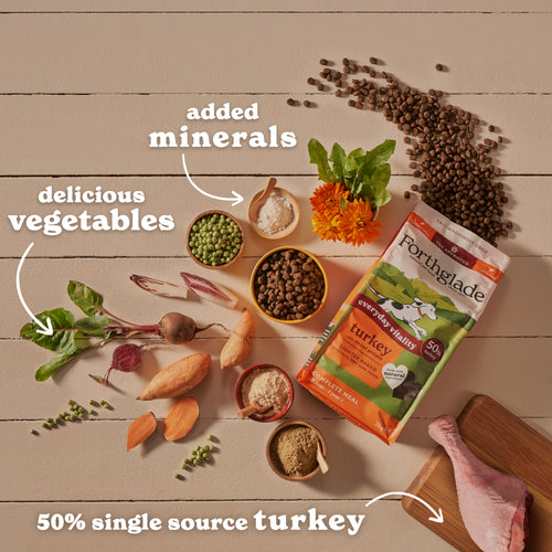 Lightly Baked Turkey Dry Dog Food