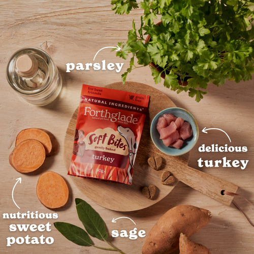 Soft Bites Turkey Dog Treats (1 x 90g)