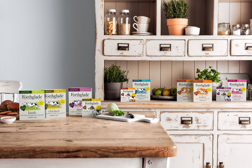 adult-dry-food-forthglade