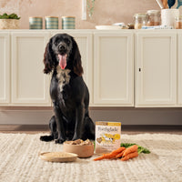Chicken & Brown Rice Wet Dog Food
