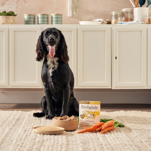 Chicken & Brown Rice Wet Dog Food