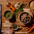 Chicken & Brown Rice Wet Dog Food