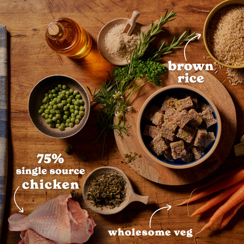 Chicken & Brown Rice Wet Dog Food