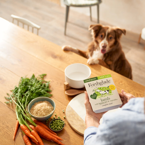 Lamb & Brown Rice Wet Dog Food