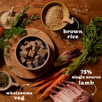 Lamb & Brown Rice Wet Dog Food