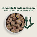 Lamb & Brown Rice Wet Dog Food