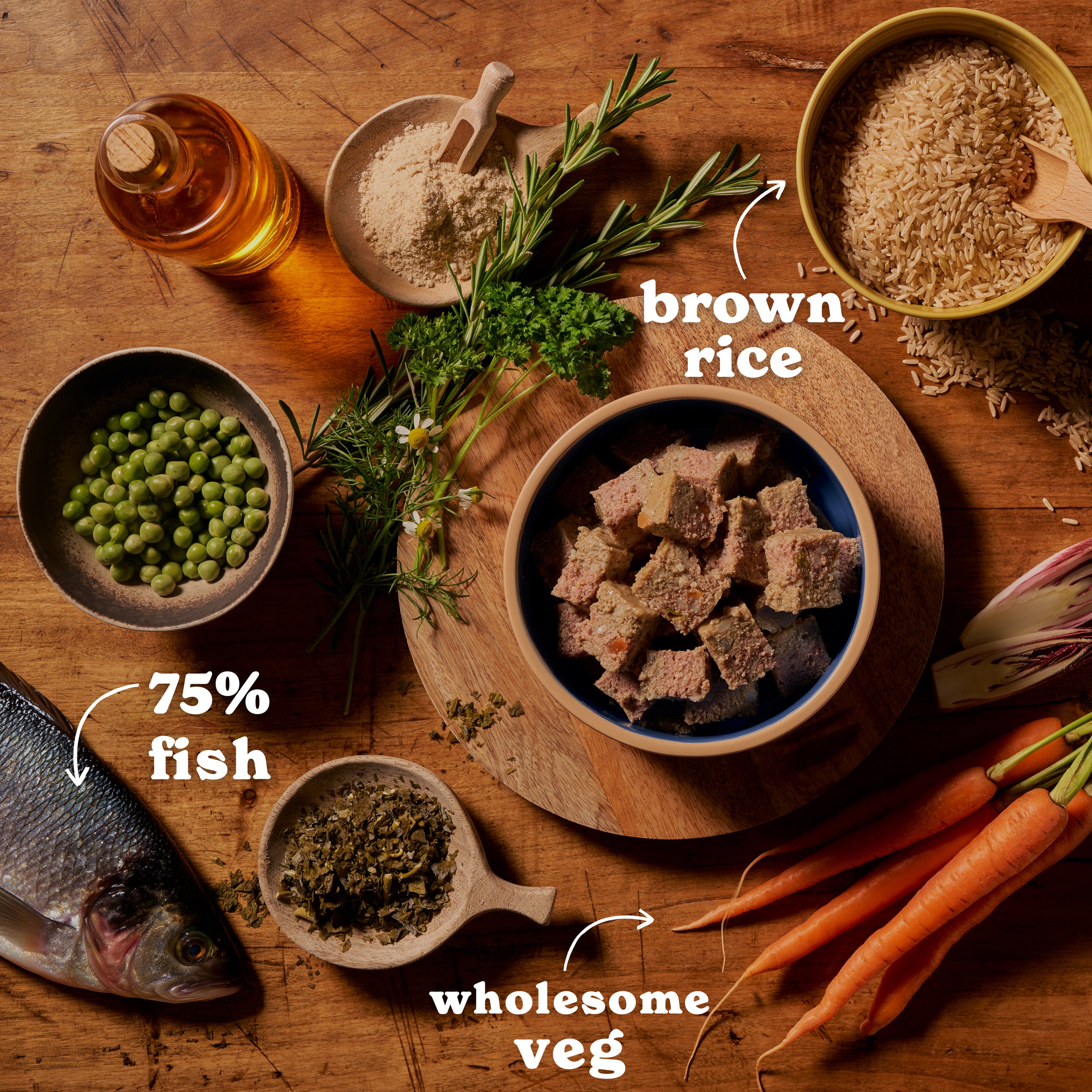 Ocean Fish & Brown Rice Wet Dog Food
