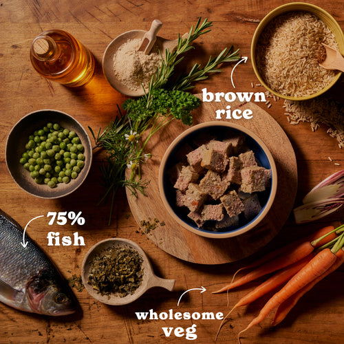 Ocean Fish & Brown Rice Wet Dog Food