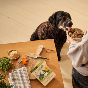 Senior Lamb & Brown Rice Wet Dog Food