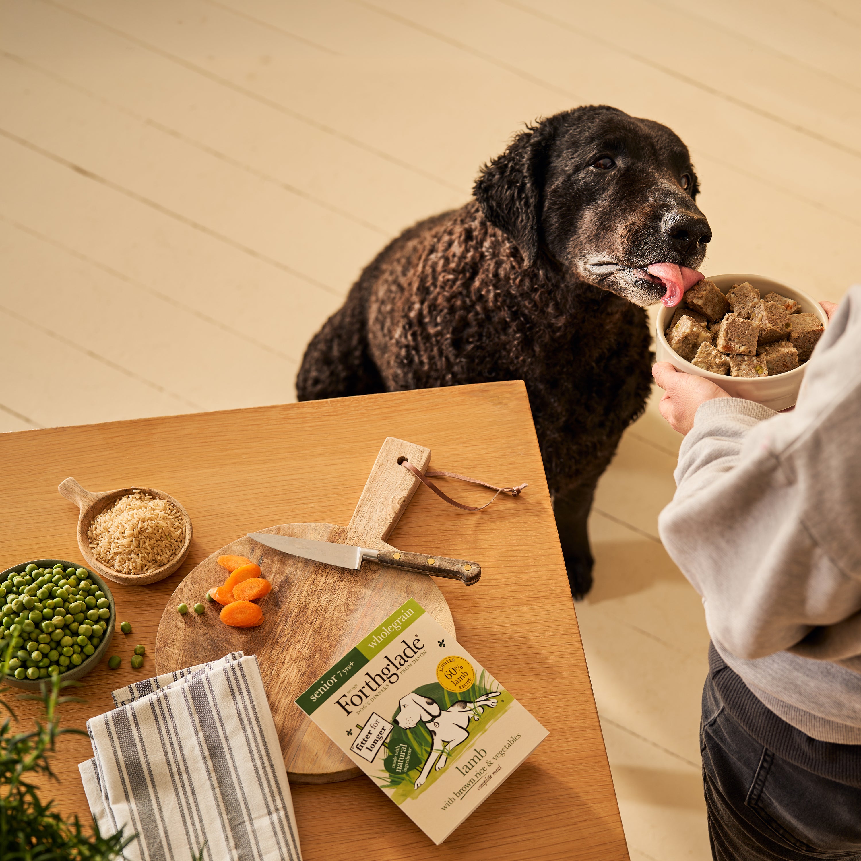 Senior Lamb & Brown Rice Wet Dog Food