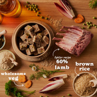 Senior Lamb & Brown Rice Wet Dog Food
