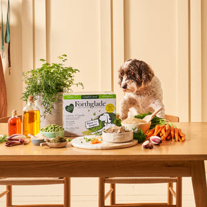 Senior Lamb & White Fish Wet Dog Food Variety Pack