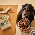 Senior White Fish & Brown Rice Wet Dog Food