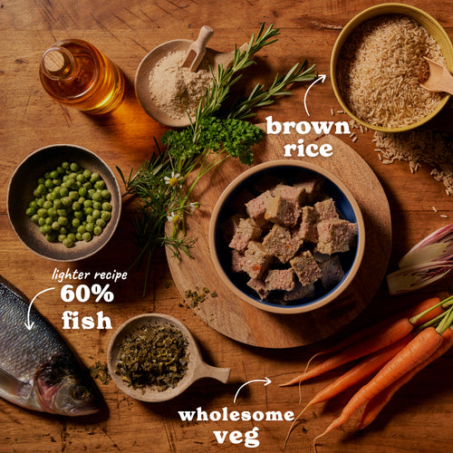 Senior White Fish & Brown Rice Wet Dog Food