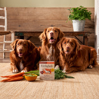 Turkey & Brown Rice Wet Dog Food