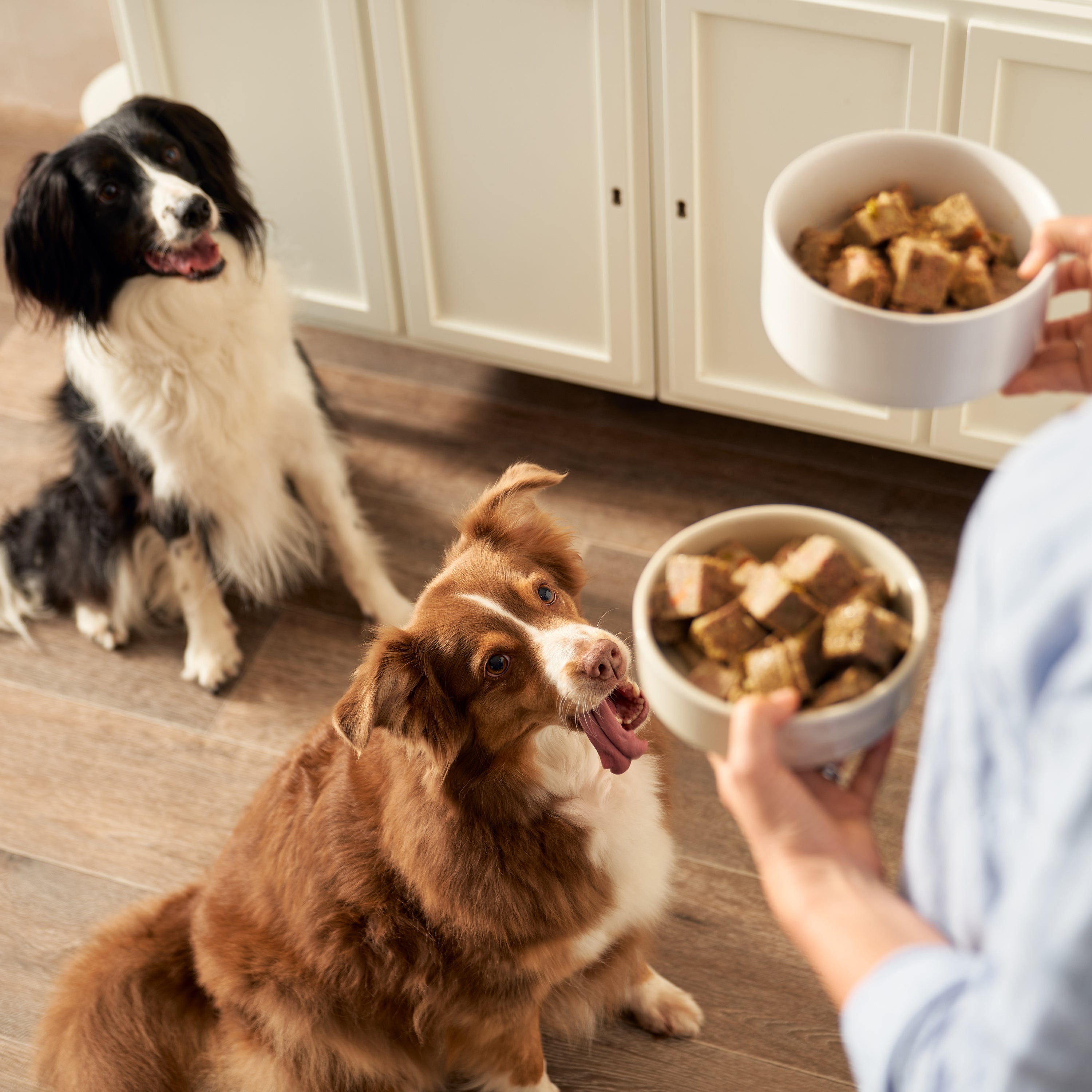 Turkey, Lamb & Chicken Wet Dog Food Variety Pack